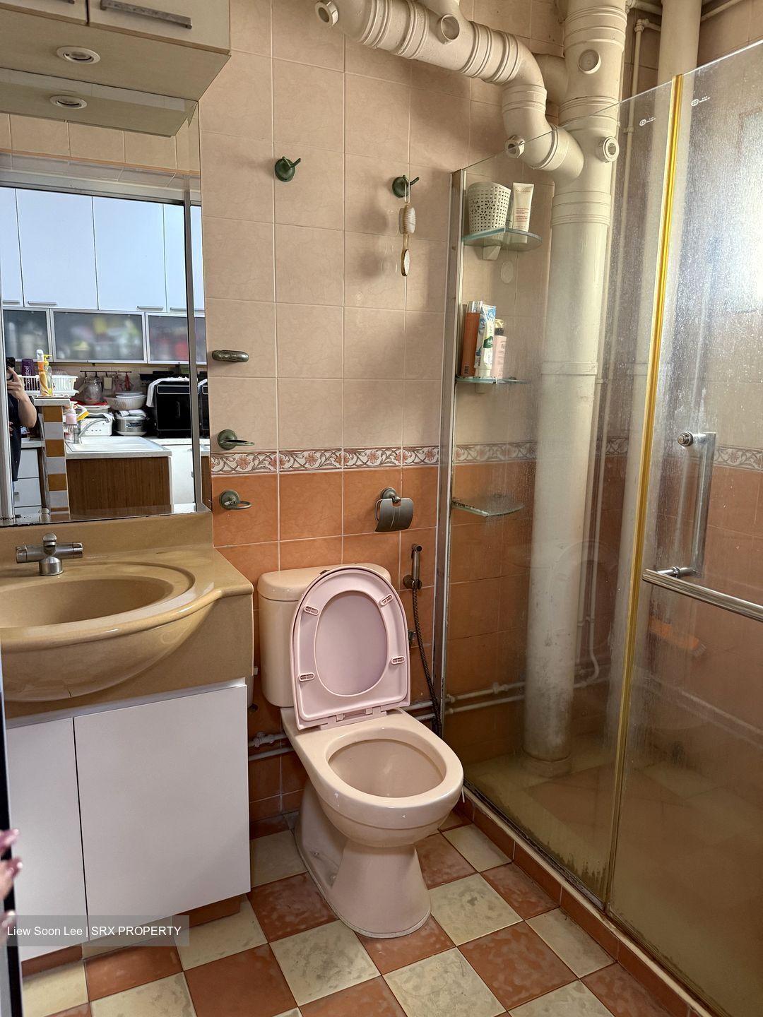 Blk 262B Compassvale North Gate (Sengkang), HDB Executive #627924961